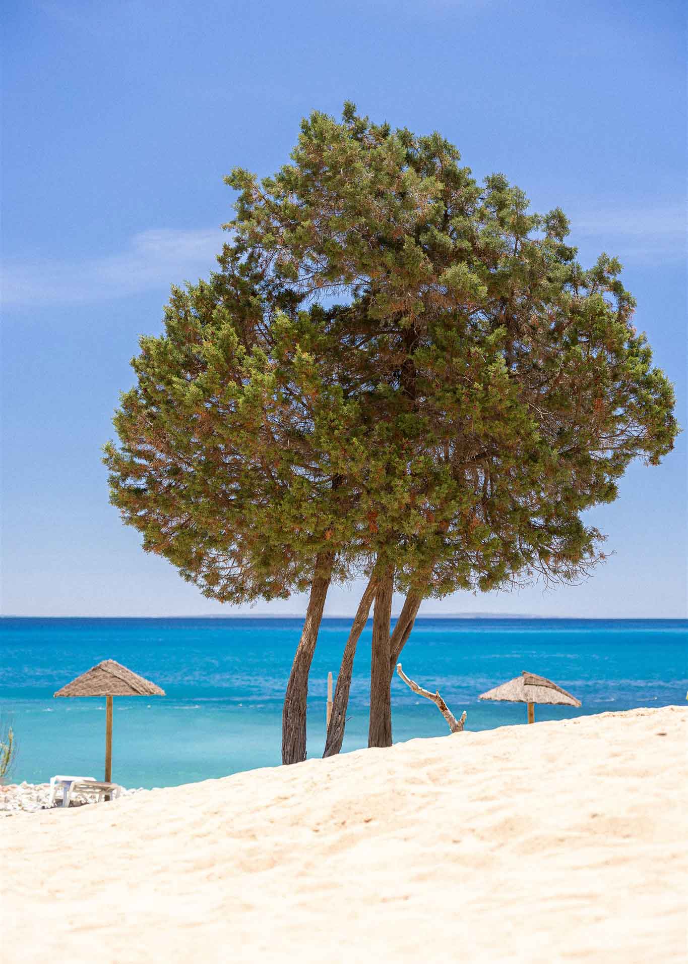 Exteriror Ses Boques